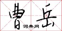 曹岳怎么写好看