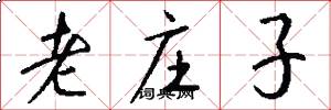 老庄子怎么写好看
