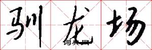 驯龙场怎么写好看