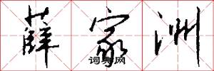 薛家洲怎么写好看