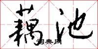 藕池怎么写好看