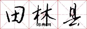 田林县怎么写好看