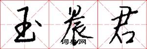 玉晨君怎么写好看
