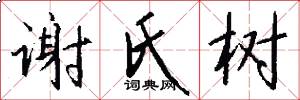 谢氏树怎么写好看