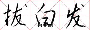 拔白发怎么写好看
