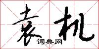 袁机怎么写好看