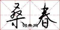 桑春怎么写好看