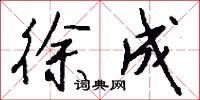 徐成怎么写好看