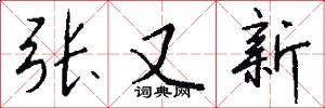 张又新怎么写好看