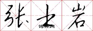 张士岩怎么写好看