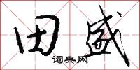 田盛怎么写好看