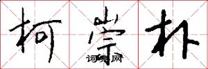 柯崇朴怎么写好看