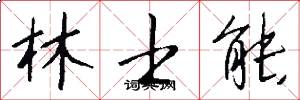 林士能怎么写好看