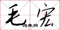 毛宏怎么写好看