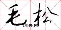 毛松怎么写好看