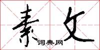 素文怎么写好看