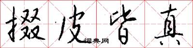 掇皮皆真怎么写好看