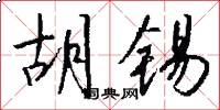 胡锡怎么写好看