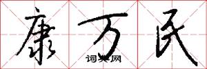 康万民怎么写好看