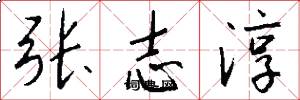 张志淳怎么写好看