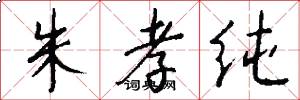 朱孝纯怎么写好看