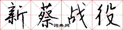 新蔡战役怎么写好看