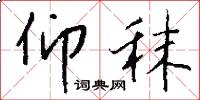 仰秣怎么写好看
