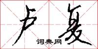 卢复怎么写好看