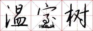 温室树怎么写好看