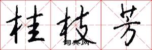 桂枝芳怎么写好看