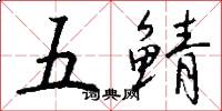 五鲭怎么写好看