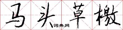 马头草檄怎么写好看