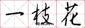一枝花怎么写好看