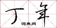 丁年怎么写好看