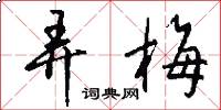 弄梅怎么写好看