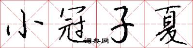 小冠子夏怎么写好看