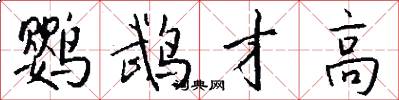 鹦鹉才高怎么写好看