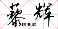 藜辉怎么写好看