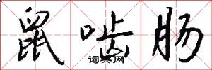 鼠啮肠怎么写好看