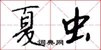 夏虫怎么写好看