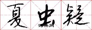 夏虫疑怎么写好看