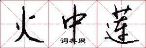 火中莲怎么写好看