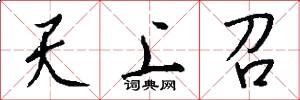 天上召怎么写好看