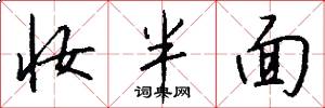 妆半面怎么写好看