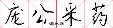 庞公采药怎么写好看