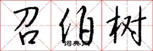 召伯树怎么写好看