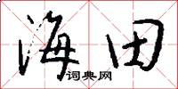 海田怎么写好看