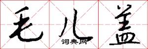 毛儿盖怎么写好看