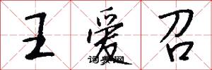 王爱召怎么写好看