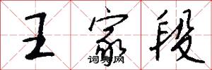 王家段怎么写好看